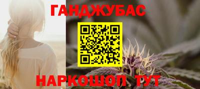 Альфа ПВП Гатчина