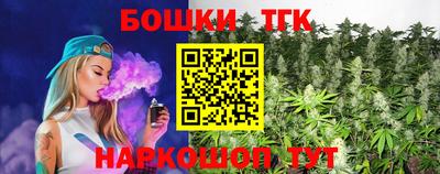 Альфа ПВП Гатчина