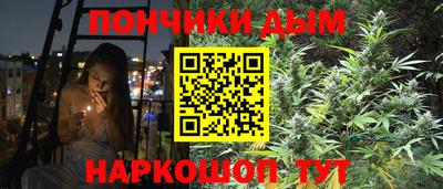 Альфа ПВП Гатчина