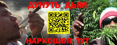 Альфа ПВП Гатчина